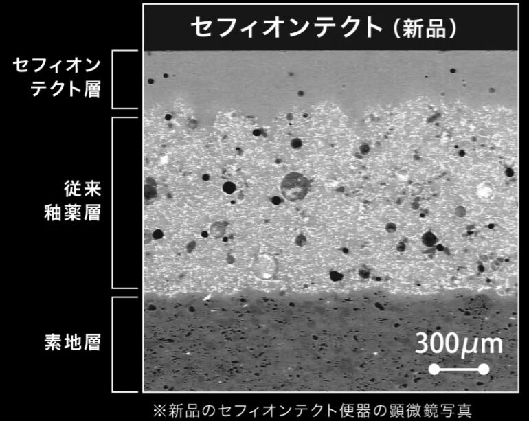 セフィオンテクトの表面拡大